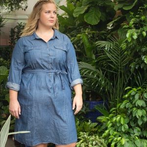Plus sized chambray dress